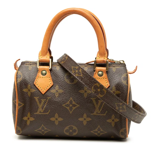 Brown Louis Vuitton Monogram Nano Speedy Dating Satchel in Brown Coated canvas from Designer Revival