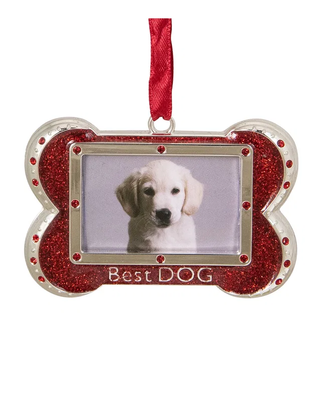 Northlight 3in Red And Silver-Plated Best Dog Bone Christmas Ornament With European Crystals, image 1 of 1 from Rue La La