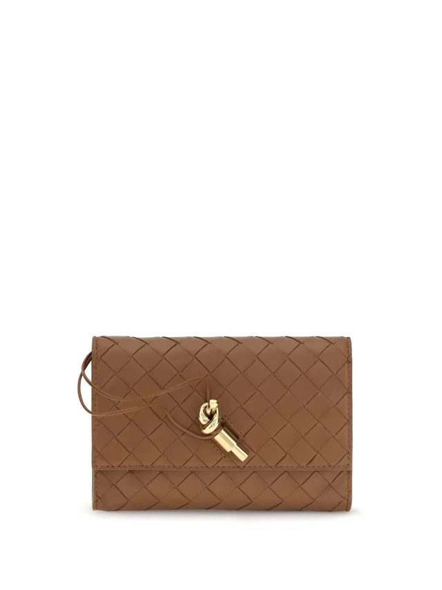 Bottega Veneta Andiamo Clutch — Bronze Lamb (ovis Aries) in Lambskin from HEWI