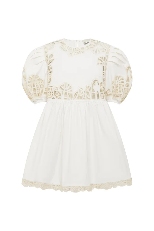 2504 - RESORT 26 ROSEMARY EMBROIDERED MINI DRESS from Alemais, photo 1 of 1