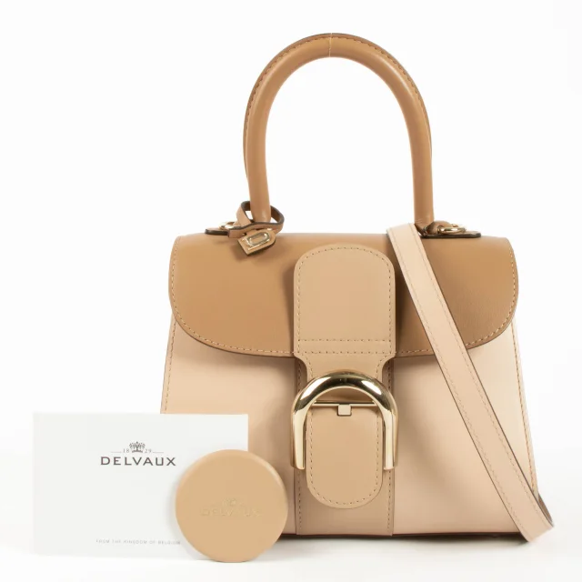 Delvaux Nude Box Calf Camaieux Brillant Mini Bag in Box leather from Labellov, photo 2 of 6