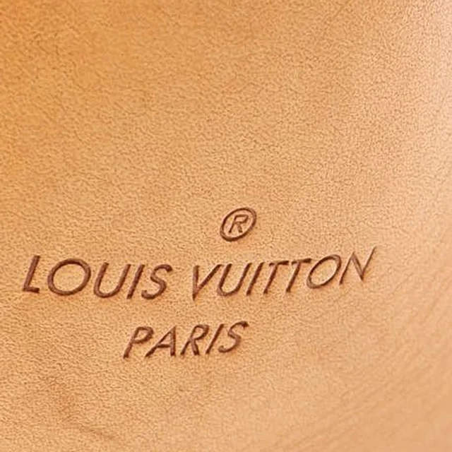 Louis Vuitton Monogram Berri MM Bag in Coated canvas from A Retro Tale, photo 9 of 15
