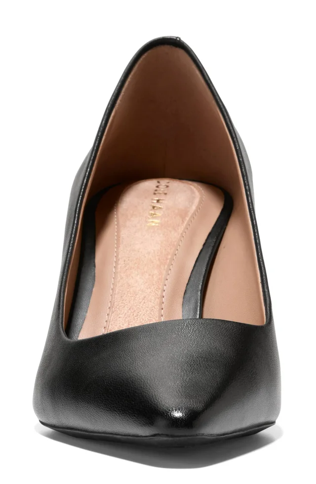 Cole Haan The Go-To Janey Pointed Toe Pump, photo 3 of 10 from Nordstrom Rack