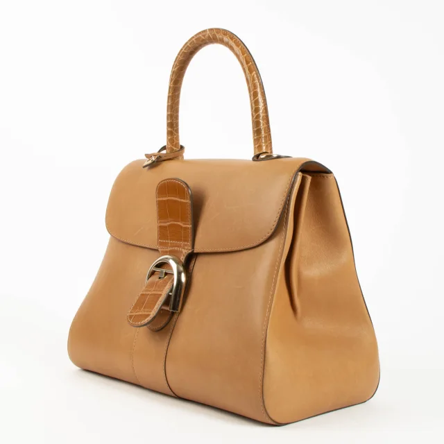 Delvaux Vegetal Alligator/Dream Brillant MM Bag in Crocodile from Labellov, photo 3 of 6