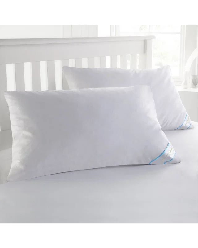 BeautySleep Set of 2 Down Alternative Pillows, image 1 of 1 from Rue La La