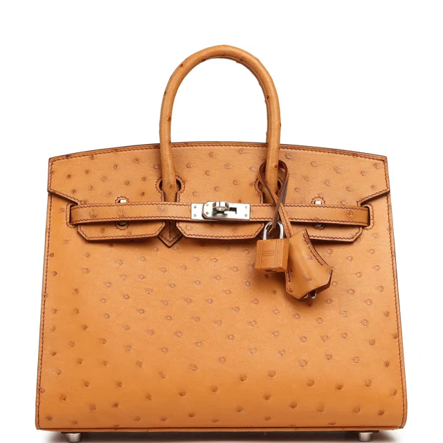 Hermès Birkin Sellier 25 Gold Ostrich Palladium Hardware in Gold Ostrich from Madison Avenue Couture