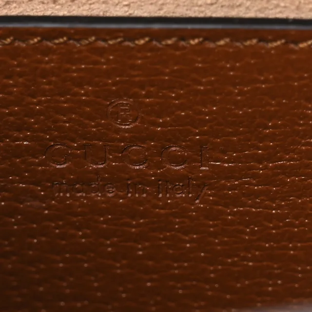 Gucci Textured Dollar Calfskin Web Mini Diana Tote Bag Cuir Black in Black Calfskin from FASHIONPHILE, photo 6 of 10