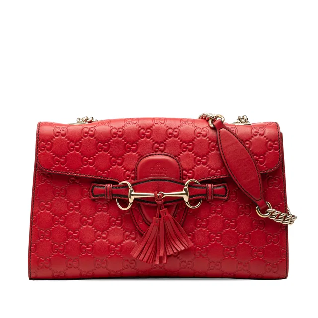 Red Gucci Medium Guccissima Emily Shoulder Bag in Red Leather from Designer Revival