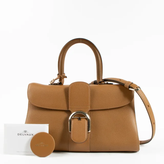 Delvaux Vegetal Rodeo Calf Brillant East West Mini Bag in Leather from Labellov, photo 2 of 9