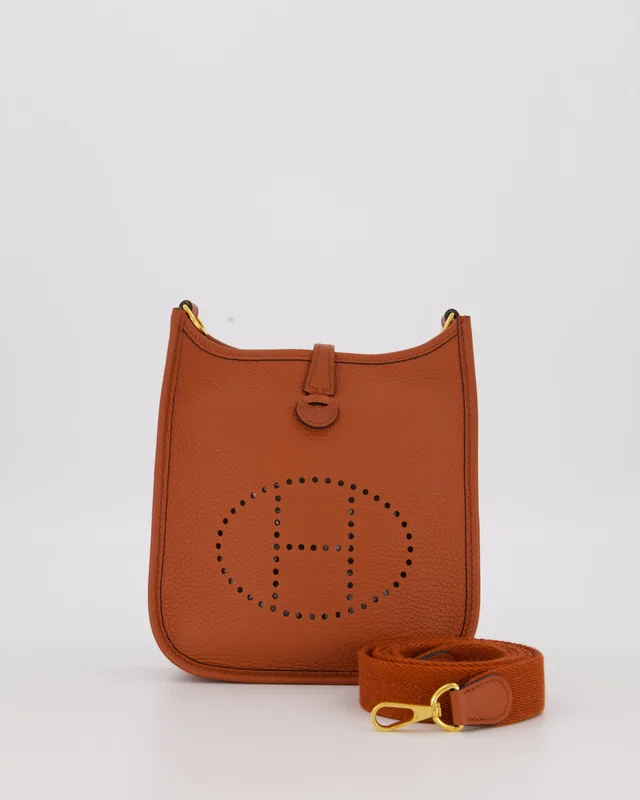 Hermès Mini Evelyne 16 Amazone in Clemence leather from Sellier