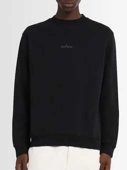 Stone Island Crewneck sweatshirt with long sleeves in 0% Cotton, photo 3 of 5 from LUISAVIAROMA