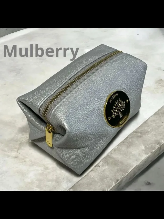 Mulberry Silver Leather Cosmetic Pouch With Gold Hardware in silver|gold|gray Leather from Poshmark, photo 1 of 1