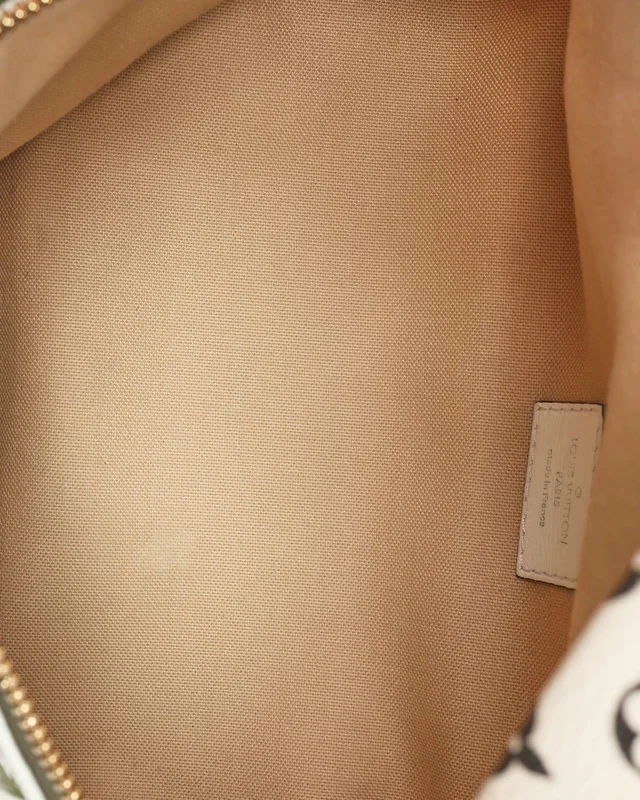 Louis Vuitton Giant Monogram Bum Bag in Canvas from A Retro Tale, photo 5 of 7