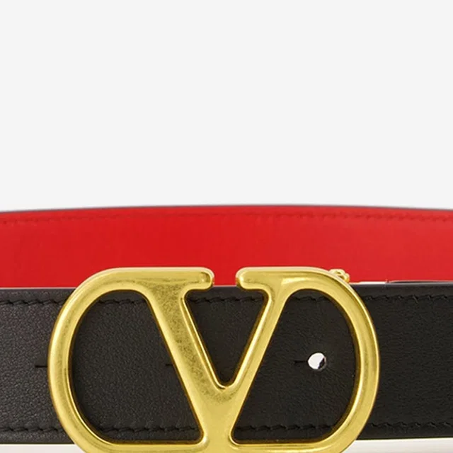 Valentino Garavani Vlogo Signature Belt — Multicolor Leather in Multicolor Leather from HEWI