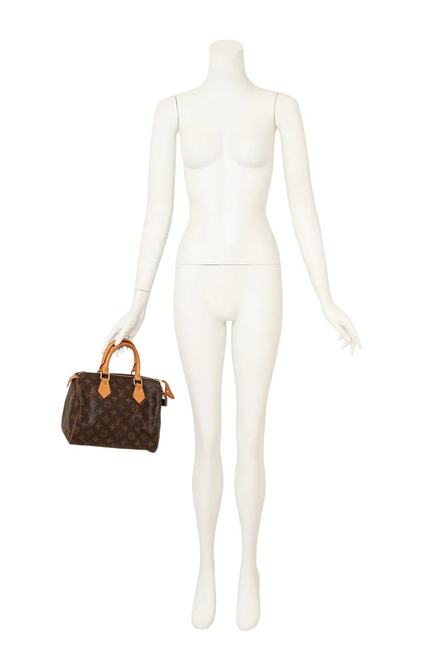 Louis Vuitton Monogram Canvas Speedy 25 Bag in Coated canvas from Recess LA, photo 2 of 2