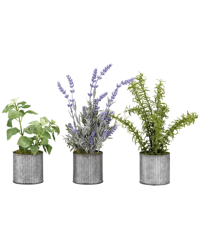 D&W Silks Set of 3 Basil, Lavender and Springeri in Tin Planters, image 1 of 1 from Rue La La