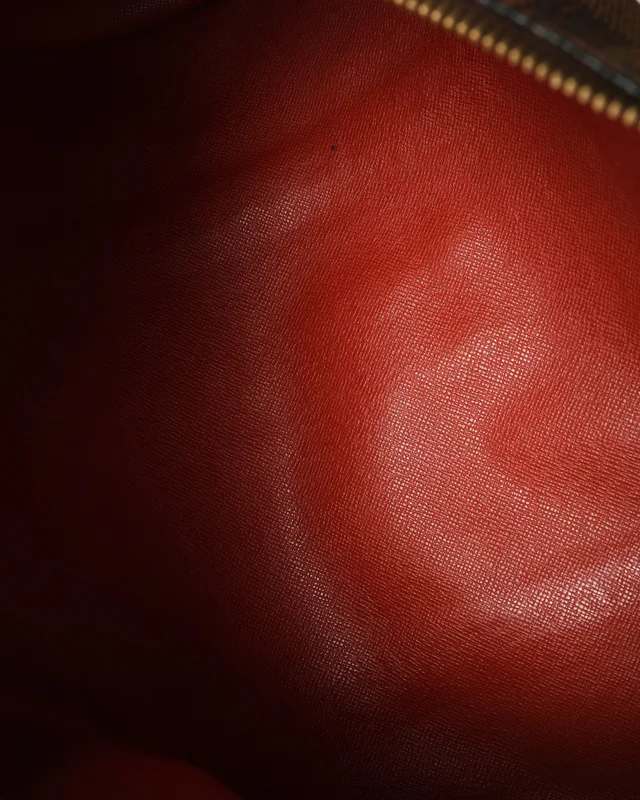 Louis Vuitton Damier Papillon Bag in Canvas from A Retro Tale, photo 6 of 7