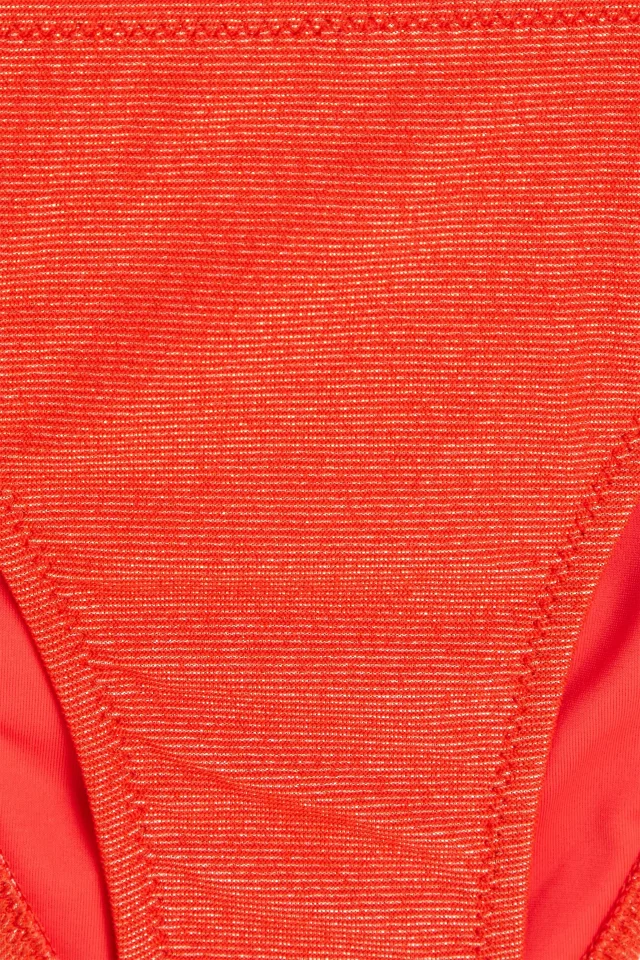 Heidi Klein Metallic Low-Rise Bikini Briefs in Red, photo 4 of 4 from THE OUTNET