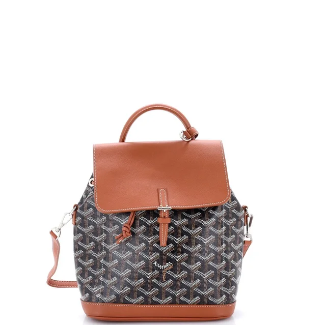 Goyard Alpin Backpack Coated Canvas Mini in brown|red Coated canvas from Rebag