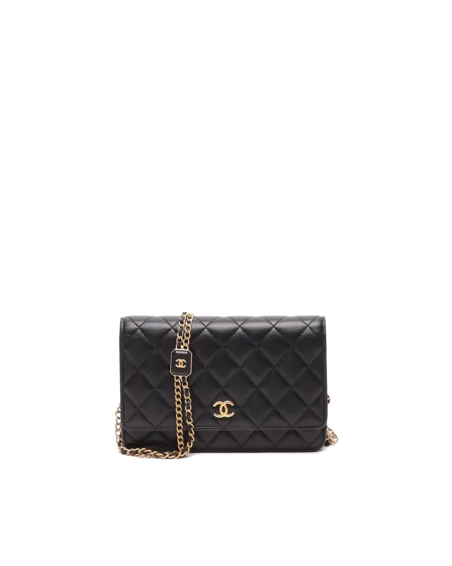 Chanel Classic Wallet on Chain Bag in Lambskin from A Retro Tale