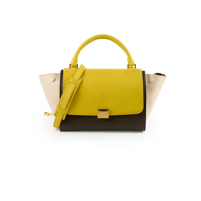 Celine Trapzez Medium Multicolor Bag in Multicolor Calfskin from The Purse Affair
