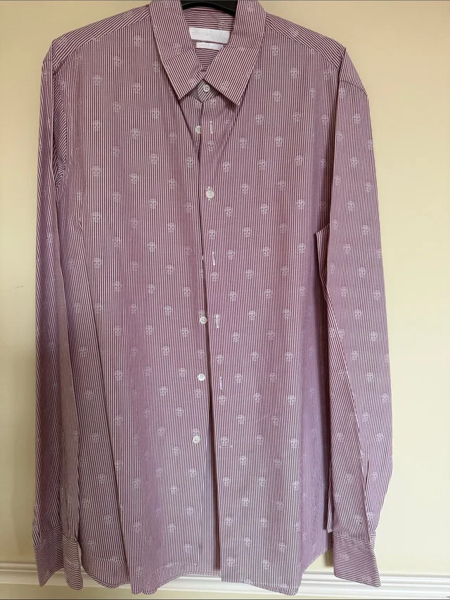 Alexander McQueen Men's Mauve Pinstripe Shirt With White Skulls Motif in pink from Poshmark