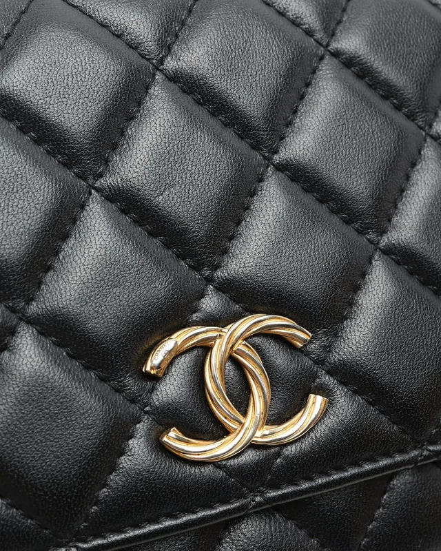 Chanel Wallet on Chain Bag in Lambskin from A Retro Tale, photo 6 of 10