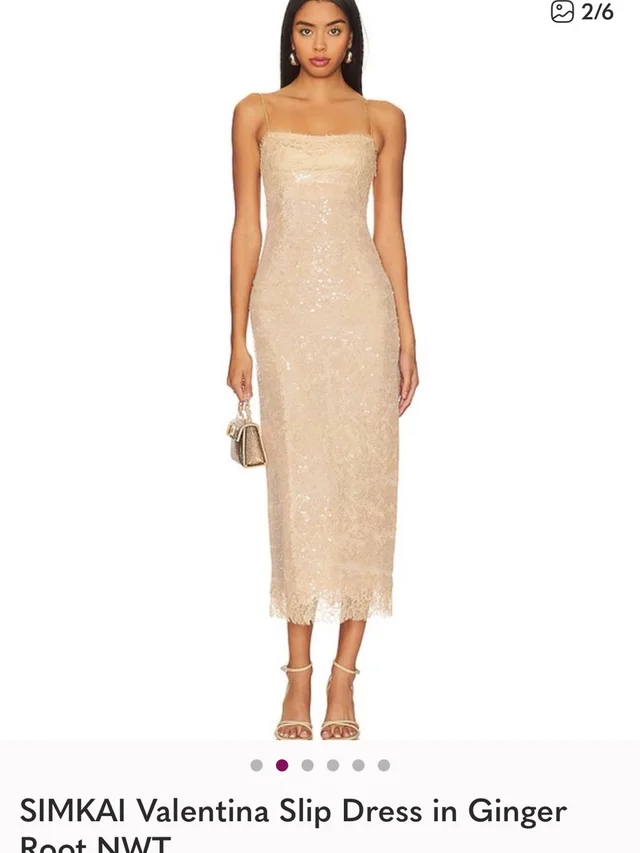 SIMKHAI Ginger Root Sequin Slip Midi Dress in brown|neutral from Poshmark