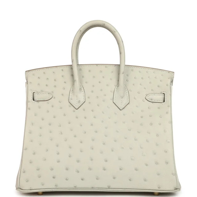 Hermès Birkin 25 Gris Perle Ostrich Gold Hardware in Grey Exotic from Madison Avenue Couture, photo 1 of 1