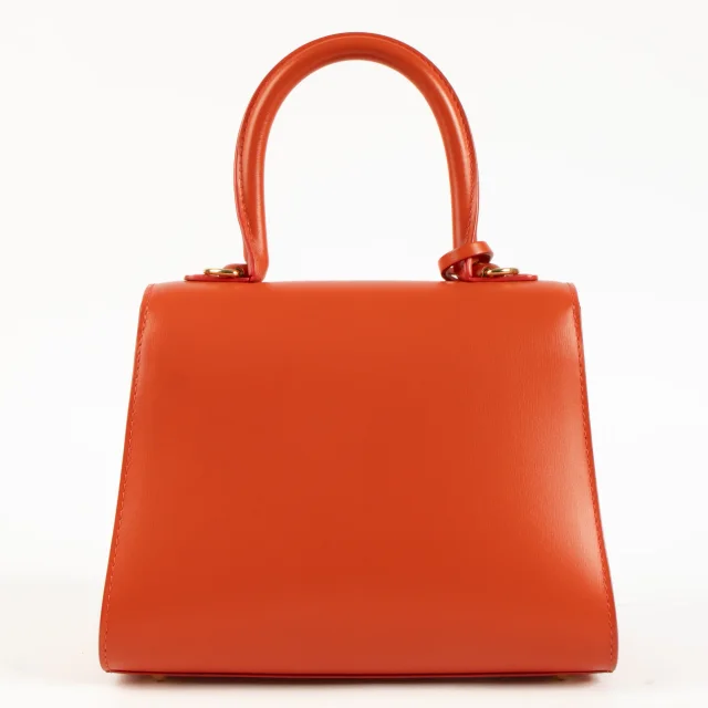 Delvaux Corail Box Calf Camaieux Brillant Mini Bag in Box leather from Labellov, photo 3 of 5
