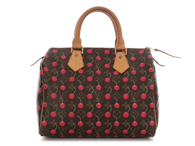 Louis Vuitton Monogram Cerises Speedy 25 in Coated canvas from Ann's Fabulous Finds