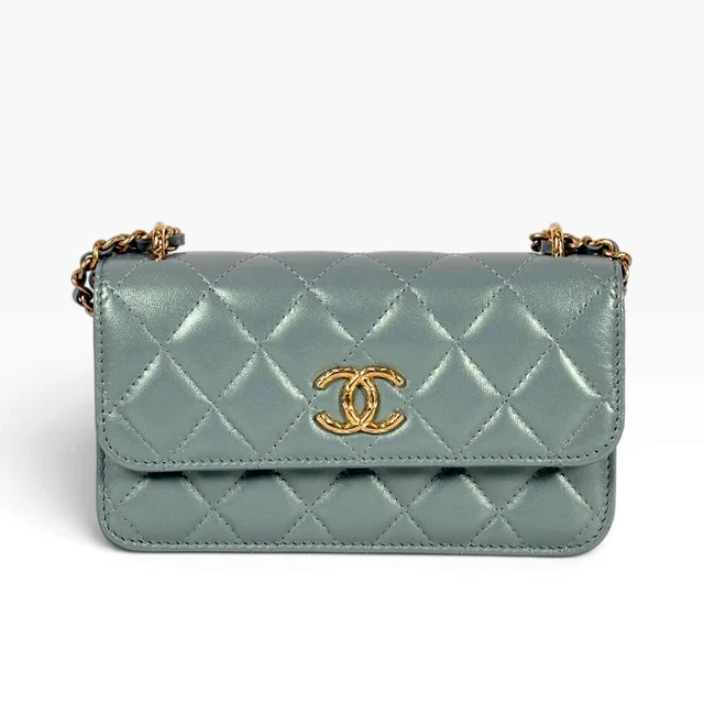 Chanel Light Green WOC Bag in Green from Luxury Promise