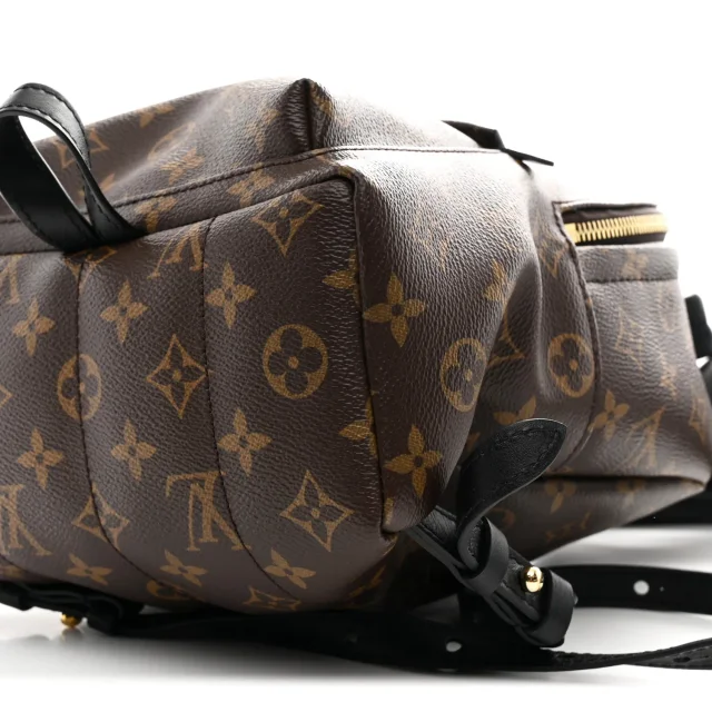 Louis Vuitton Monogram Palm Springs Backpack PM in Calfskin from FASHIONPHILE, photo 9 of 9