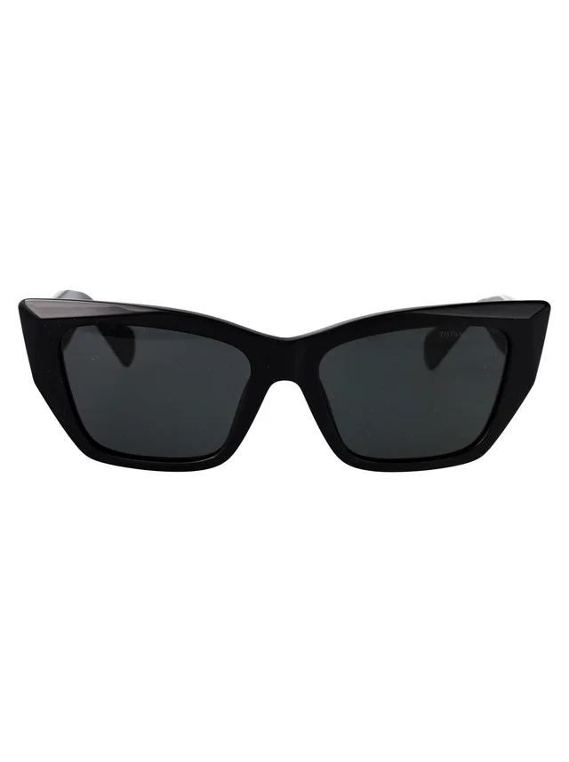 Tiffany & Co. 0tf4230 Cat-Eye Acetate Sunglasses — Black in Black from HEWI