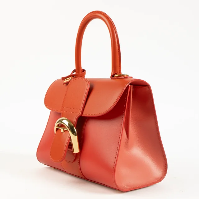 Delvaux Corail Box Calf Camaieux Brillant Mini Bag in Box leather from Labellov, photo 2 of 5