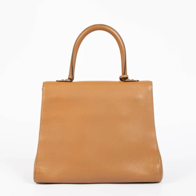 Delvaux Vegetal Sellier Brillant MM Bag from Labellov, photo 3 of 7