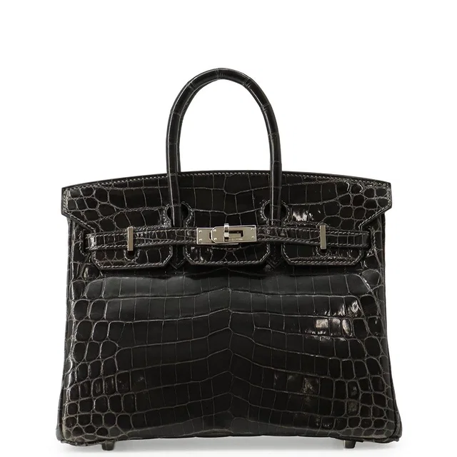 Hermès Birkin 25 Graphite Silver Niloticus Shine Handbag in Grey from The Reluxe