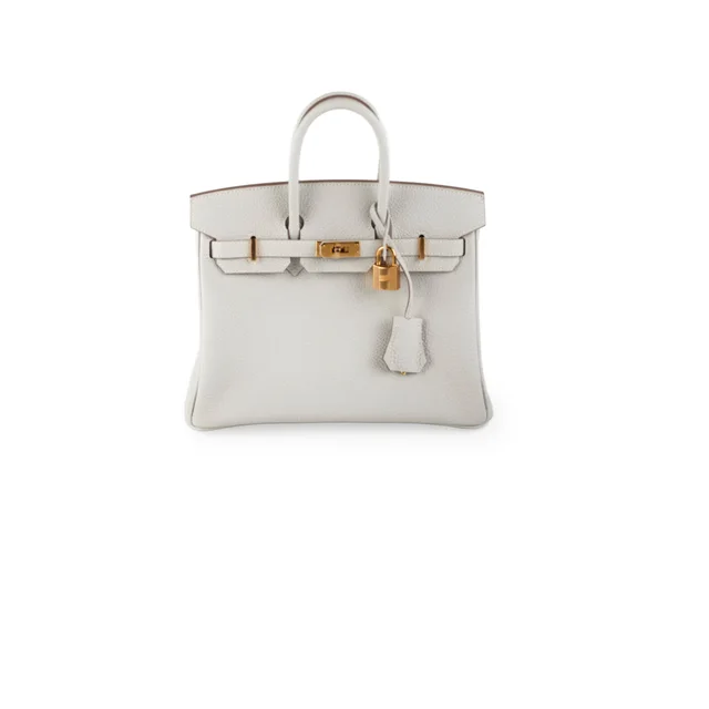 Hermès Birkin 25 Togo Gris Pale in Grey Togo leather from The Purse Affair