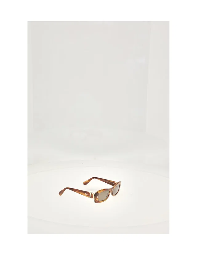 Dior Dinis1ixr Sunglasses — Brown in Brown from HEWI