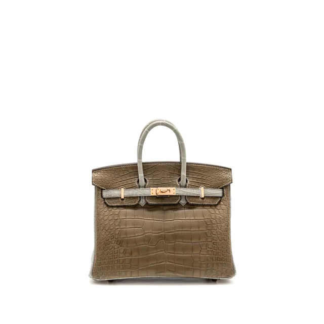 Hermès Birkin 25 Special Order Alligator Mississippiensis Matt Kraft/Gris Perle RGHW Stamp Z in Grey Crocodile from EMIER