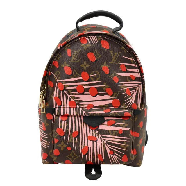 Louis Vuitton Palm Springs PM Monogram Jungle Dots Backpack Bag Brown in Brown Canvas from Dallas Designer Handbags