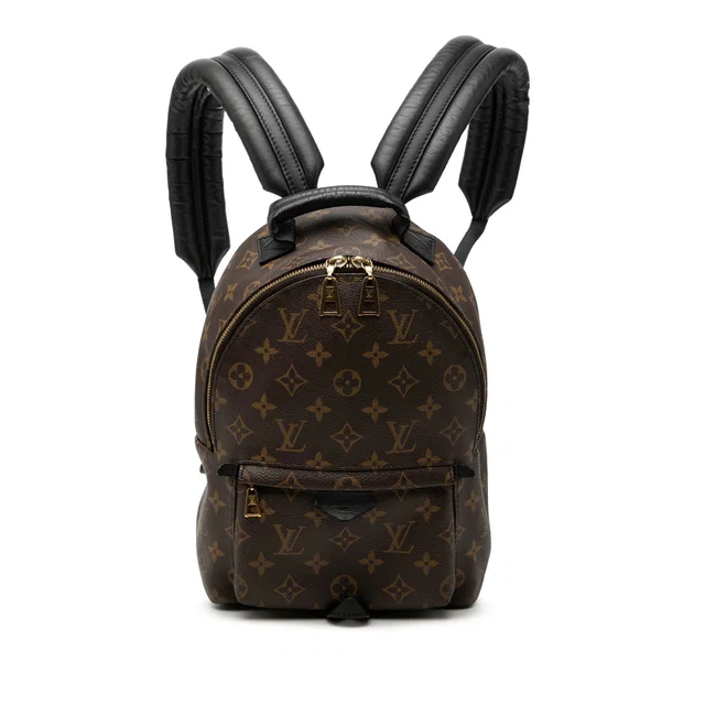 Brown Louis Vuitton Monogram Palm Springs PM Backpack in Brown Coated canvas from Designer Revival