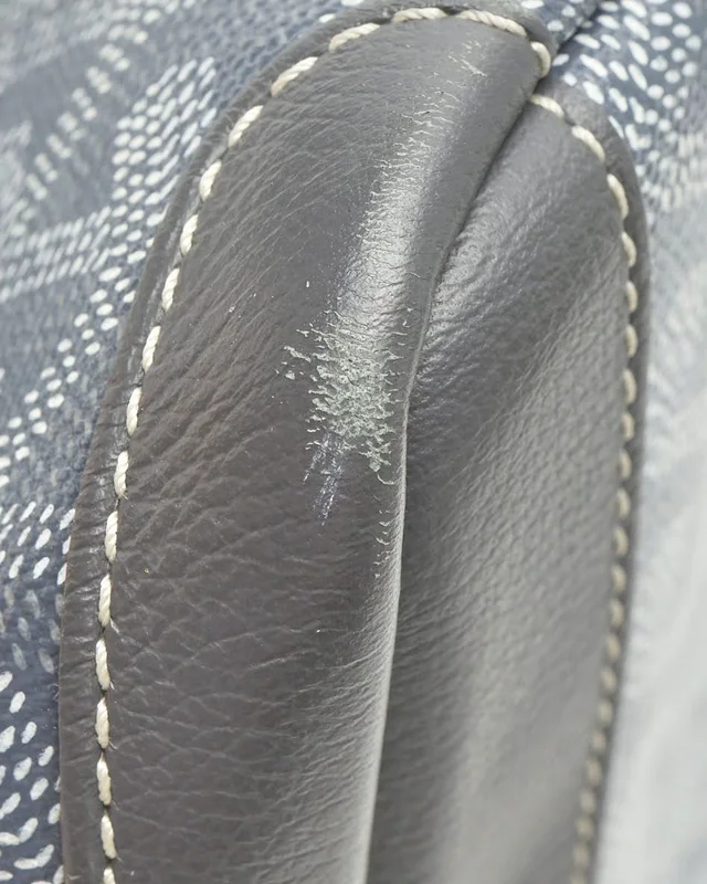 Goyard Artois MM Tote Bag in Canvas from A Retro Tale, photo 6 of 9
