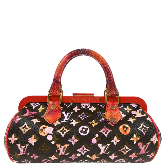 Louis Vuitton 2008 Monogram Watercolor Papillon Frame M95730 in Canvas from AMORE Vintage Tokyo