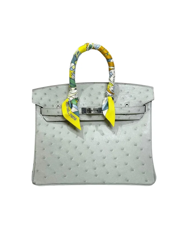 Hermès Birkin 25 Gris Perle Ostrich - U Stamp Full Set in Grey Ostrich from Luxury Promise