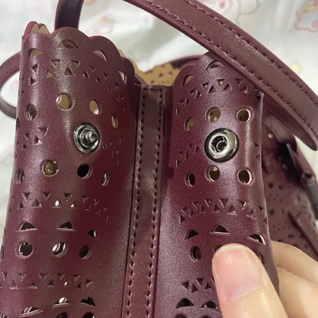 Alaïa Alaa Laser-Cut Tote Bag In Wine in red from Poshmark, photo 7 of 15