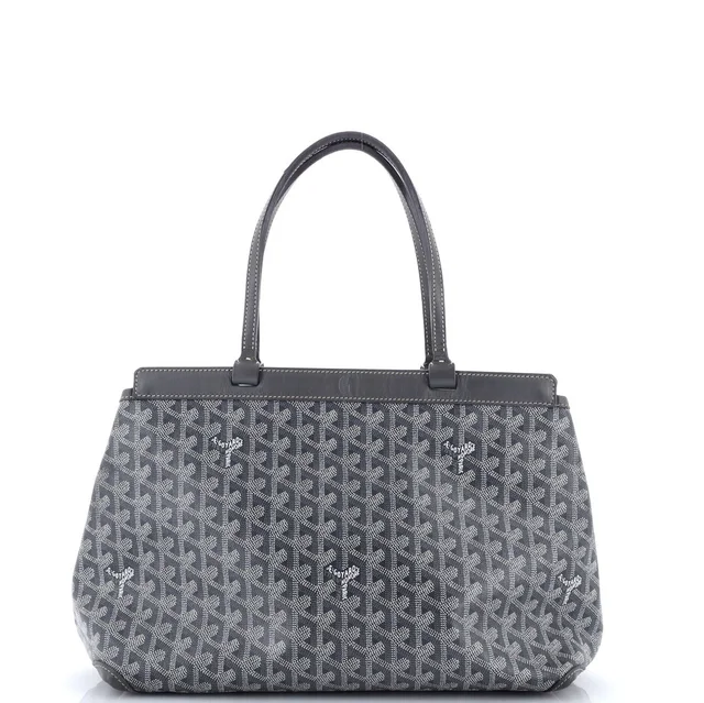 Goyard Pm Bellechasse Bag Coated Canvas in gray Coated canvas from Poshmark, photo 1 of 1