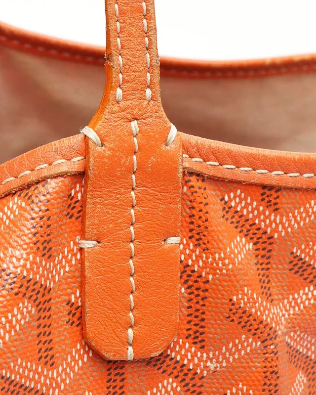 Goyard Saint Louis PM Tote Bag in Canvas from A Retro Tale, photo 6 of 12
