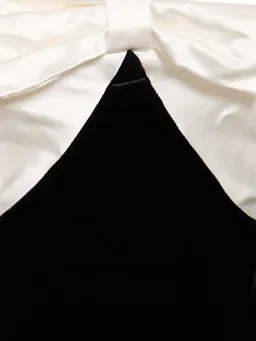 Alessandra Rich Heart neckline dress with bow in 75% Viscose, 15% Silk, 10% Elastane, photo 4 of 5 from LUISAVIAROMA