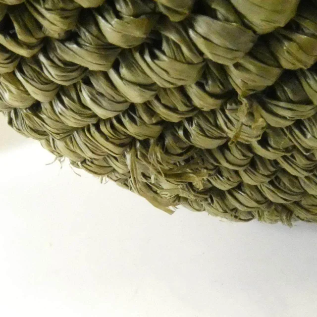 Loewe Slit Bag Mini Raffia Calf Bag in Green Calfskin from LuxUness, photo 4 of 8